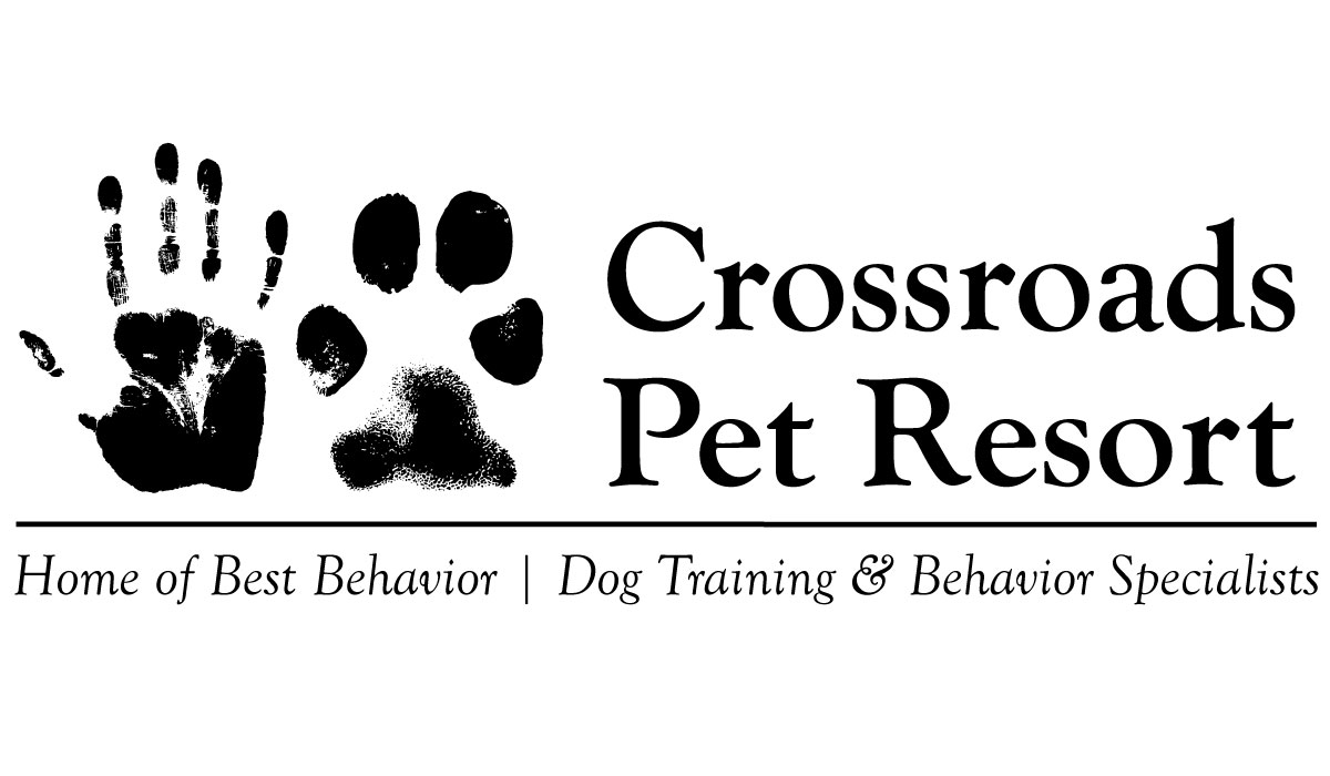 Best Behavior Grooming Boarding  Training